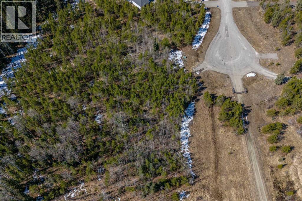 336241 Leisure Lake Bay W, Rural Foothills County, Alberta  T0L 1W2 - Photo 35 - A2303777