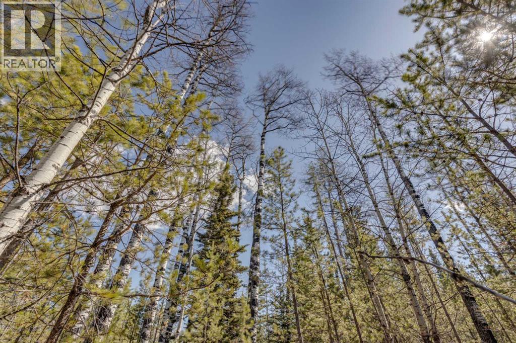 336241 Leisure Lake Bay W, Rural Foothills County, Alberta  T0L 1W2 - Photo 25 - A2303777