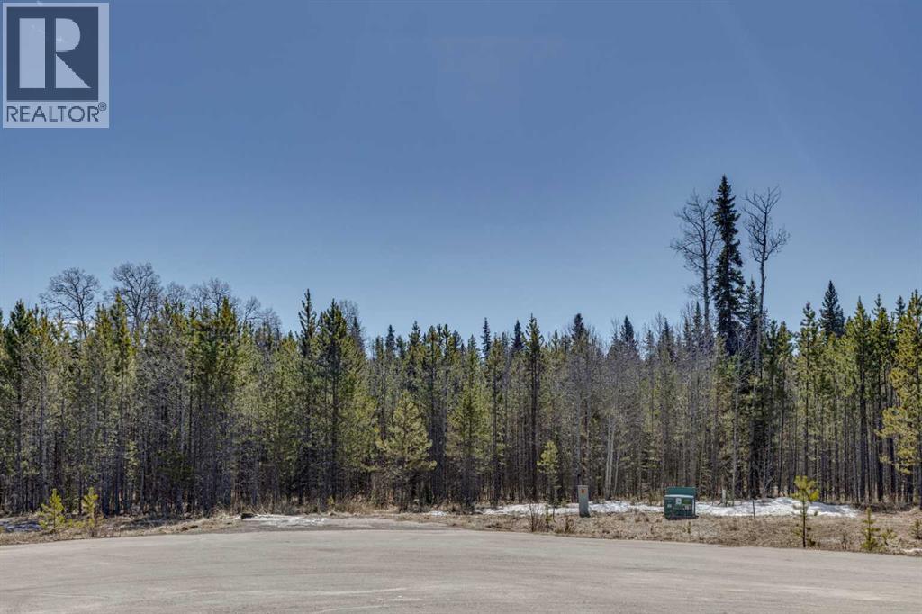 336241 Leisure Lake Bay W, Rural Foothills County, Alberta  T0L 1W2 - Photo 12 - A2303777