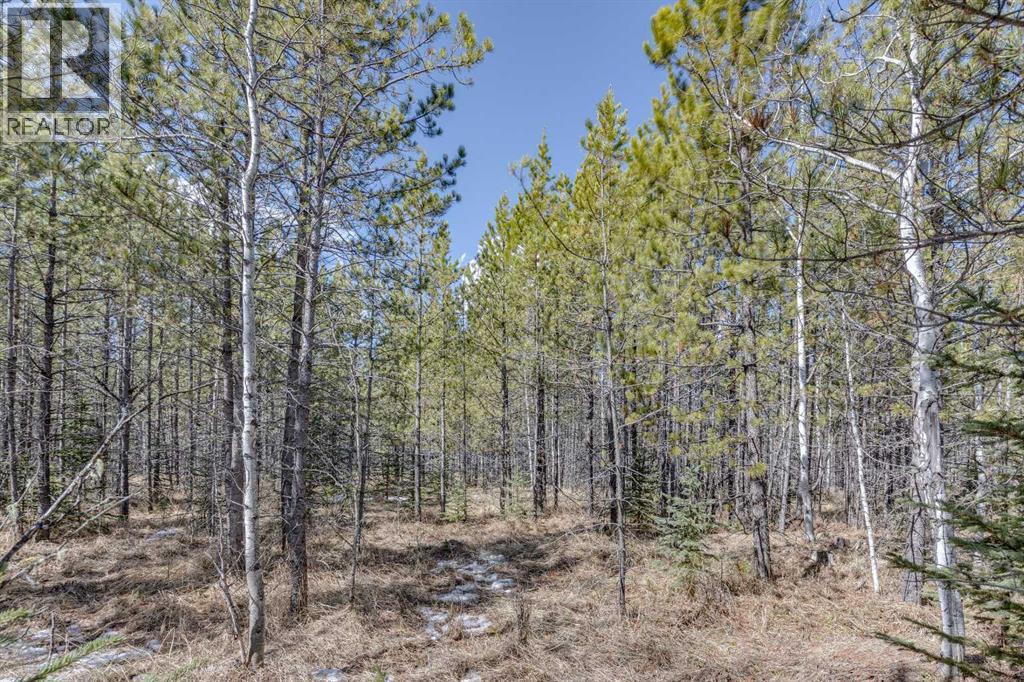 336241 Leisure Lake Bay W, Rural Foothills County, Alberta  T0L 1W2 - Photo 27 - A2303777