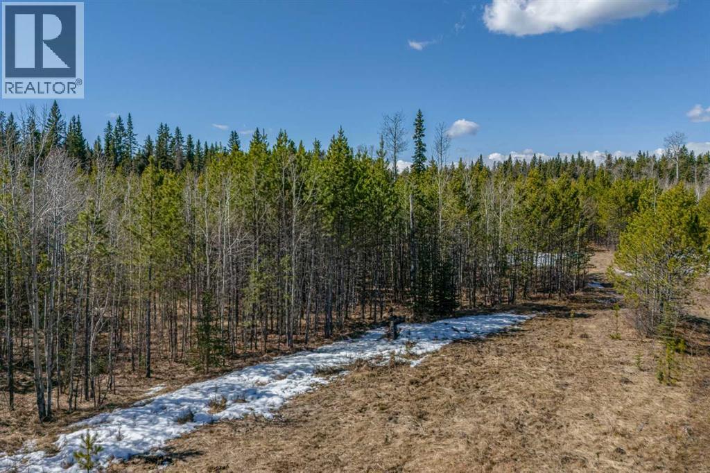 336241 Leisure Lake Bay W, Rural Foothills County, Alberta  T0L 1W2 - Photo 7 - A2303777