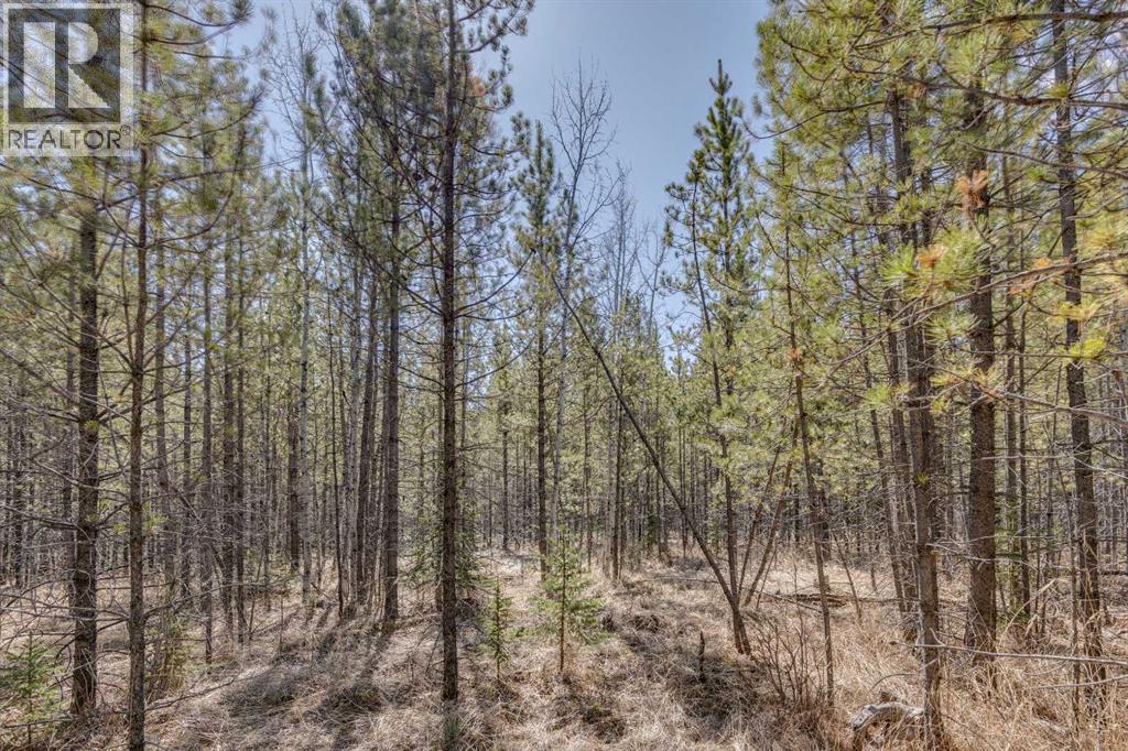 336241 Leisure Lake Bay W, Rural Foothills County, Alberta  T0L 1W2 - Photo 29 - A2303777