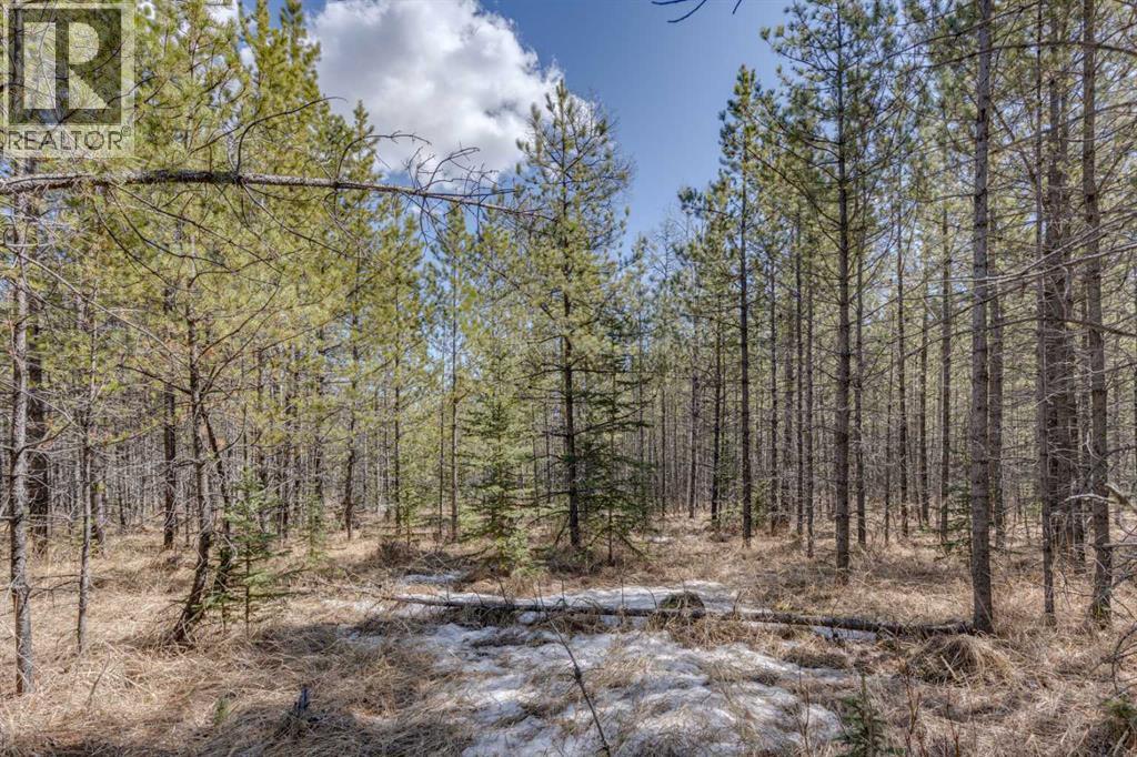 336241 Leisure Lake Bay W, Rural Foothills County, Alberta  T0L 1W2 - Photo 28 - A2303777