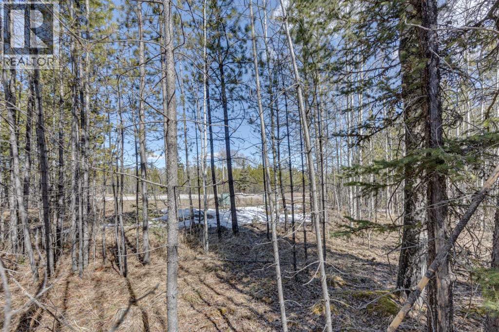 336241 Leisure Lake Bay W, Rural Foothills County, Alberta  T0L 1W2 - Photo 32 - A2303777