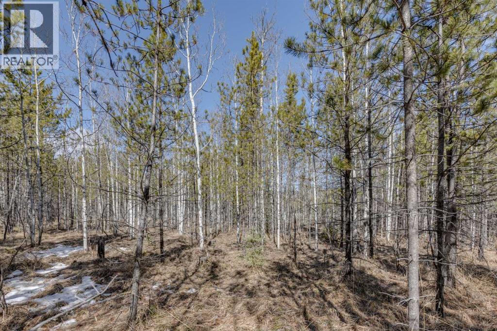 336241 Leisure Lake Bay W, Rural Foothills County, Alberta  T0L 1W2 - Photo 31 - A2303777