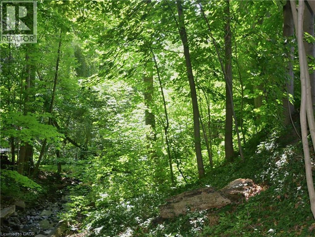 463 Avon Crescent, Oakville, Ontario  L6J 2T2 - Photo 23 - 40823881