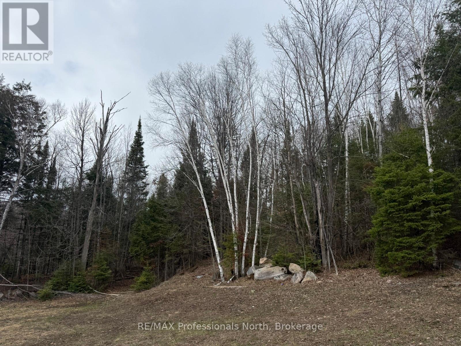 Pt Lt 11 Con 9 Nimigon Lane, Dysart Et Al, Ontario  K0M 1S0 - Photo 6 - X13041136