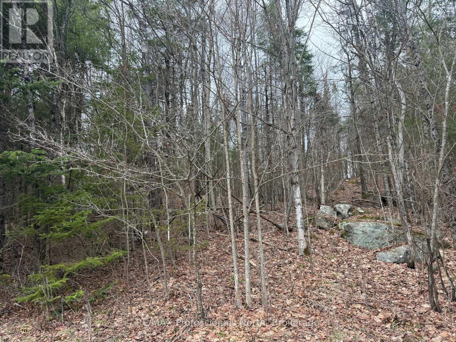 Pt Lt 11 Con 9 Nimigon Lane, Dysart Et Al, Ontario  K0M 1S0 - Photo 8 - X13041136