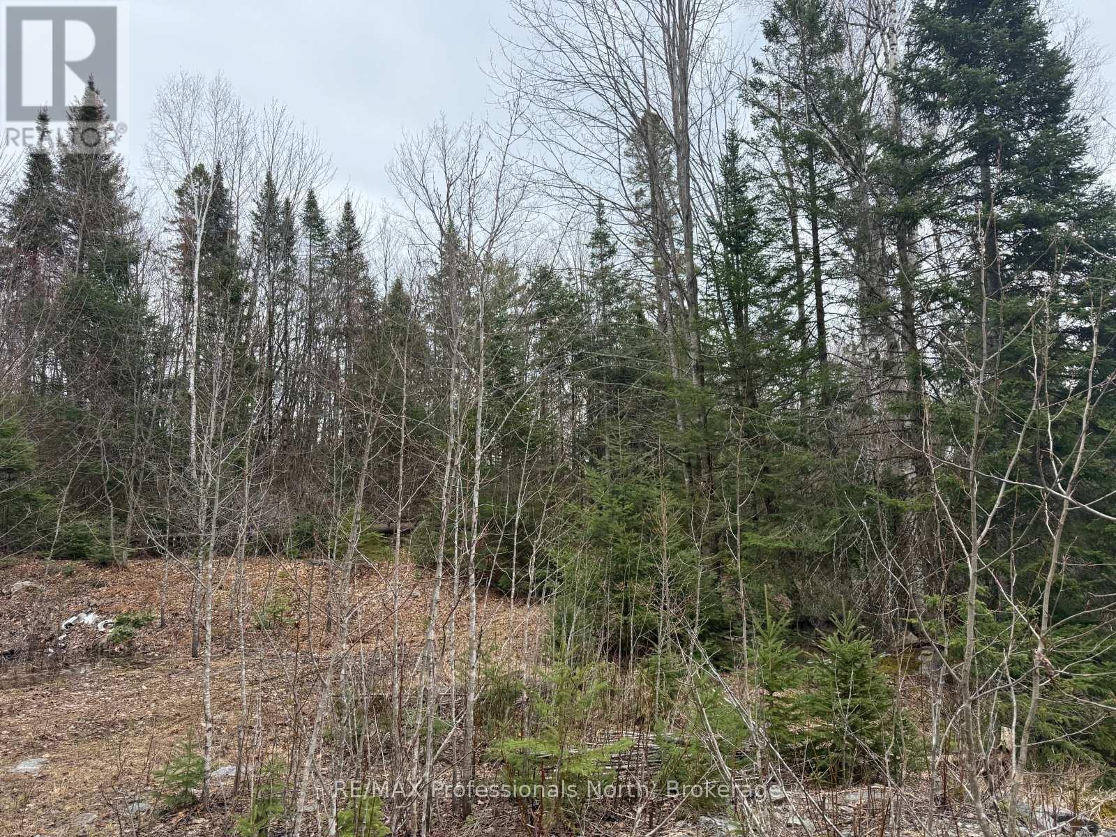 Pt Lt 11 Con 9 Nimigon Lane, Dysart Et Al, Ontario  K0M 1S0 - Photo 9 - X13041136