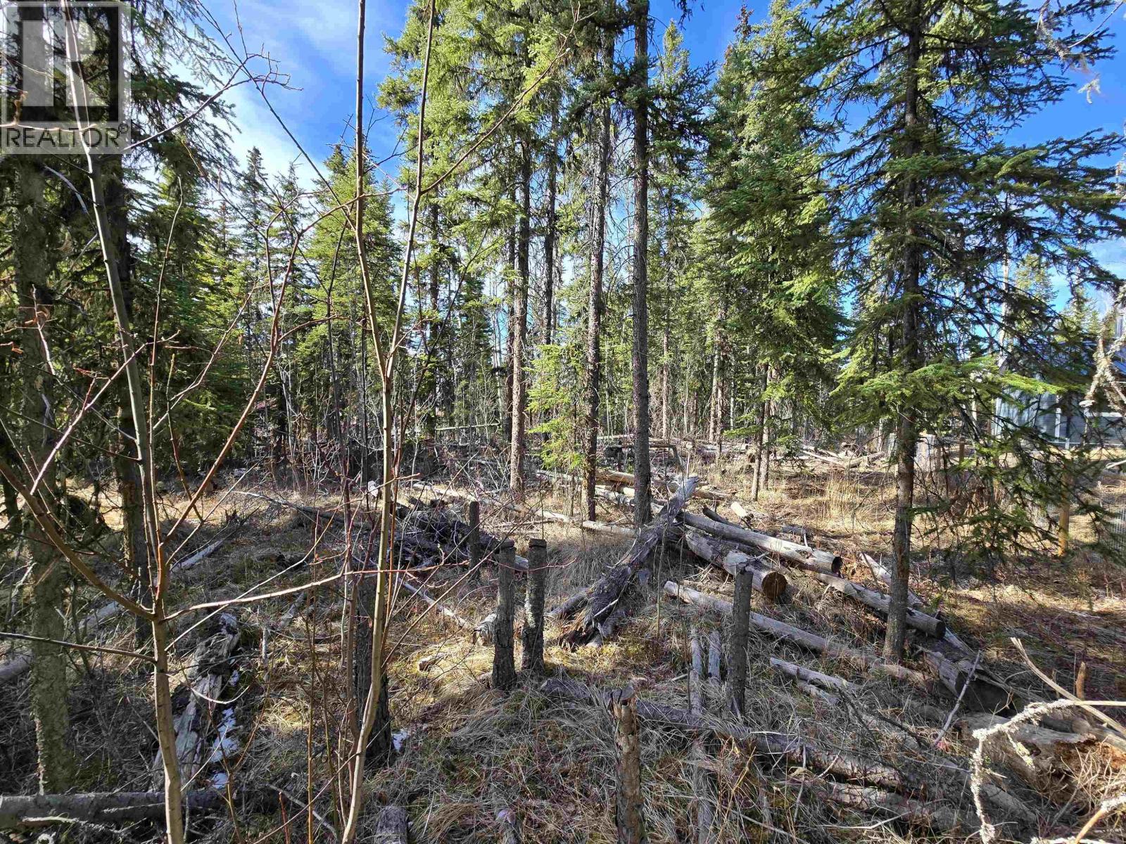 Lot 207 Ingento Road, Deka Lake / Sulphurous / Hathaway Lakes, British Columbia  V0K 1X3 - Photo 11 - R3113386