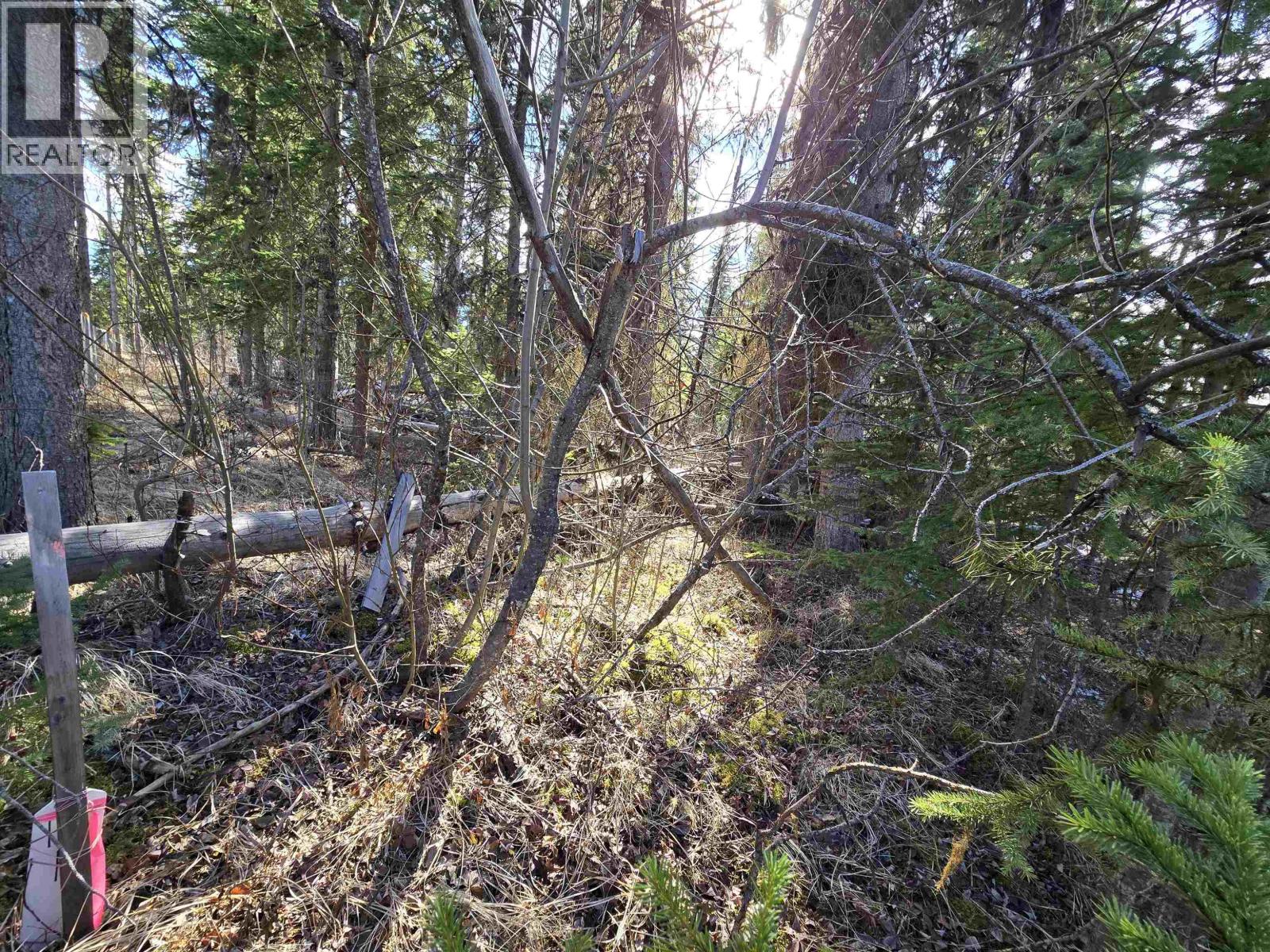 Lot 207 Ingento Road, Deka Lake / Sulphurous / Hathaway Lakes, British Columbia  V0K 1X3 - Photo 5 - R3113386