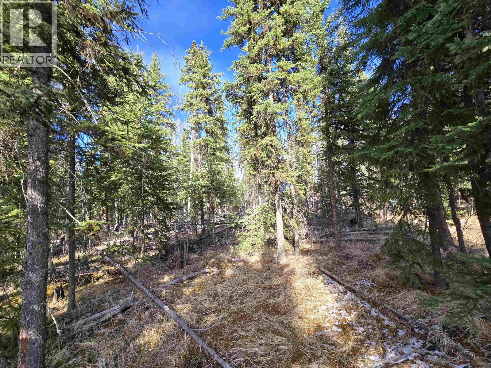 Lot 207 Ingento Road, Deka Lake / Sulphurous / Hathaway Lakes, British Columbia  V0K 1X3 - Photo 12 - R3113386