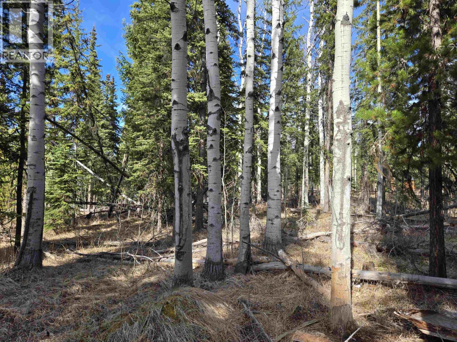 Lot 207 Ingento Road, Deka Lake / Sulphurous / Hathaway Lakes, British Columbia  V0K 1X3 - Photo 13 - R3113386