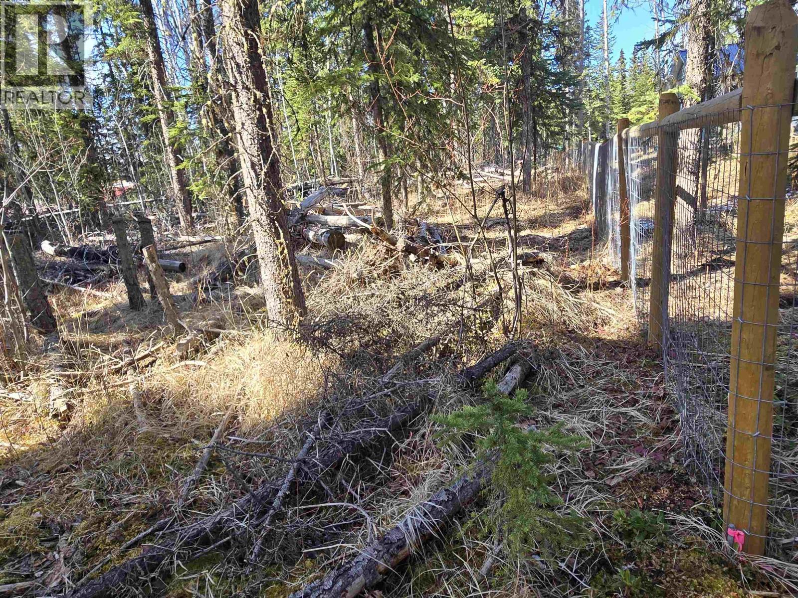 Lot 207 Ingento Road, Deka Lake / Sulphurous / Hathaway Lakes, British Columbia  V0K 1X3 - Photo 7 - R3113386