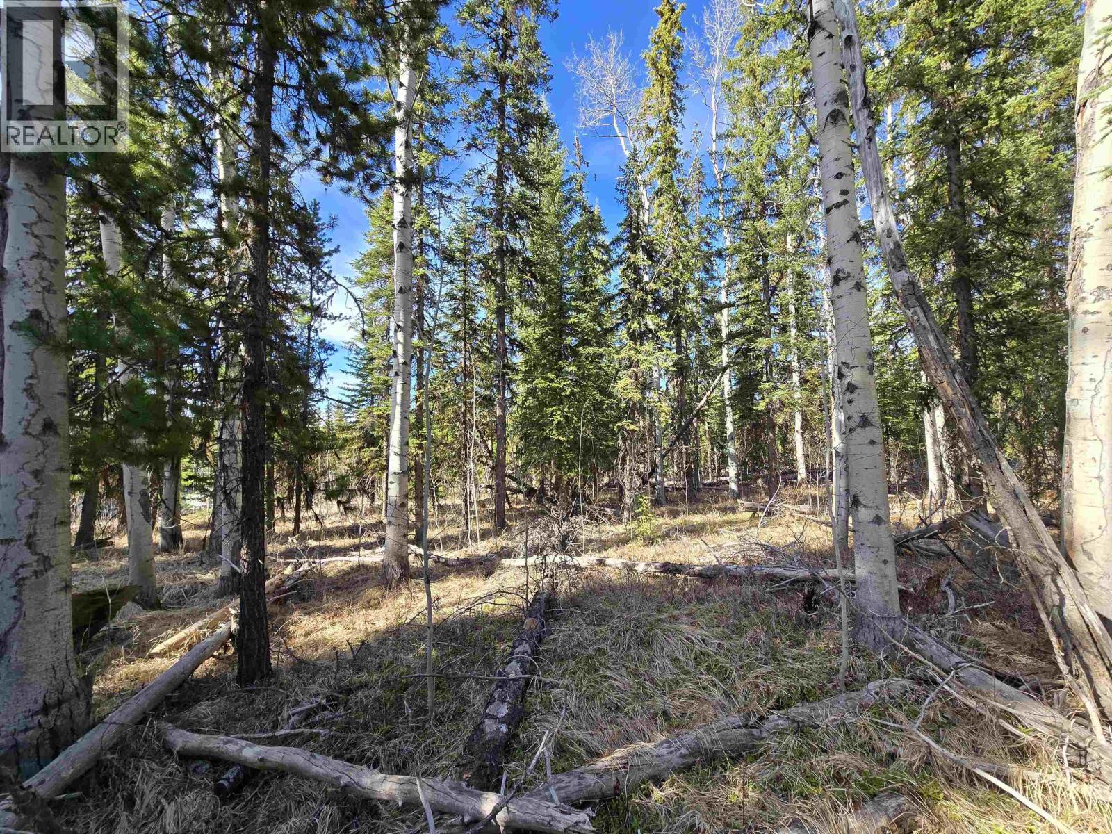 Lot 207 Ingento Road, Deka Lake / Sulphurous / Hathaway Lakes, British Columbia  V0K 1X3 - Photo 10 - R3113386