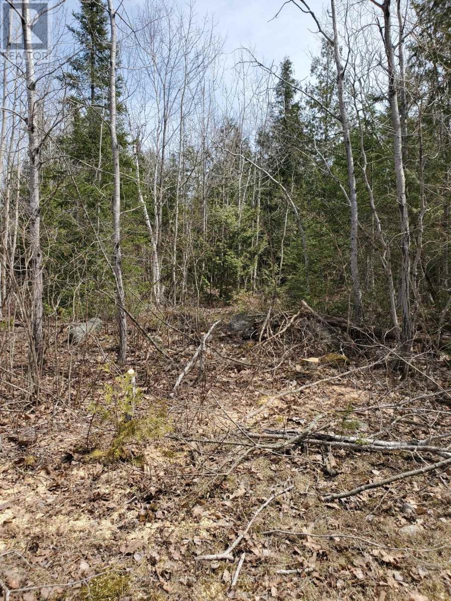 13476 HWY. 542 HIGHWAY, Gordon/Barrie Island, Ontario