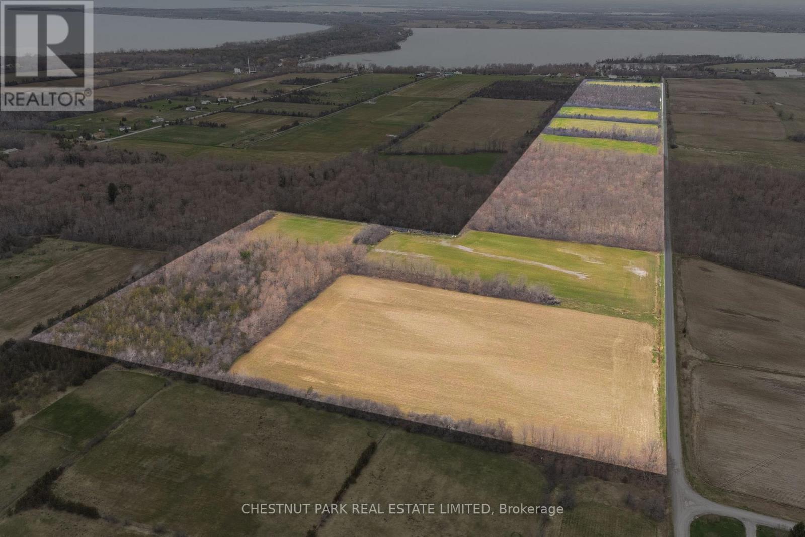 1167 County Rd 18, Prince Edward County, Ontario  K0K 1P0 - Photo 47 - X13041418