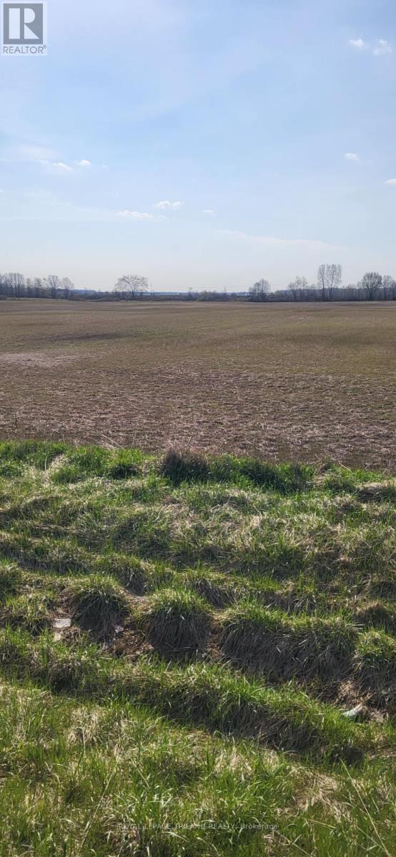 Lt 14 Con 1 Glendon Drive, Southwest Middlesex, Ontario  N0L 1A0 - Photo 5 - X13041424