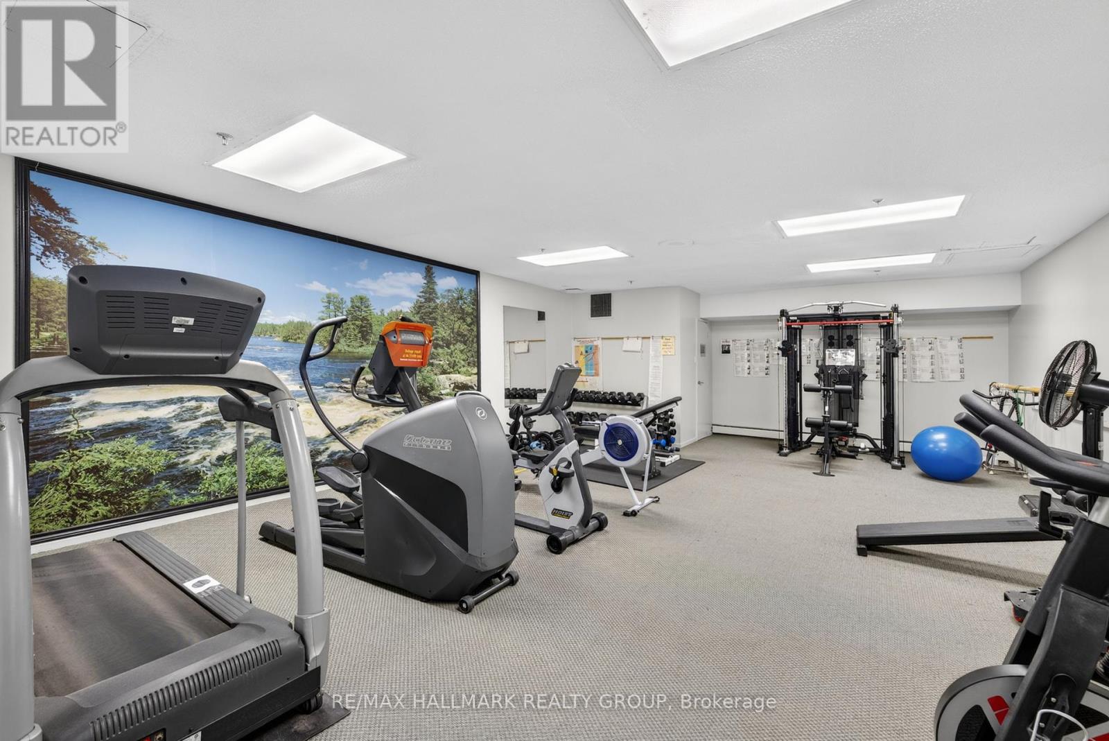 306 - 415 Greenview Avenue, Ottawa, Ontario  K2B 8G5 - Photo 37 - X13041512