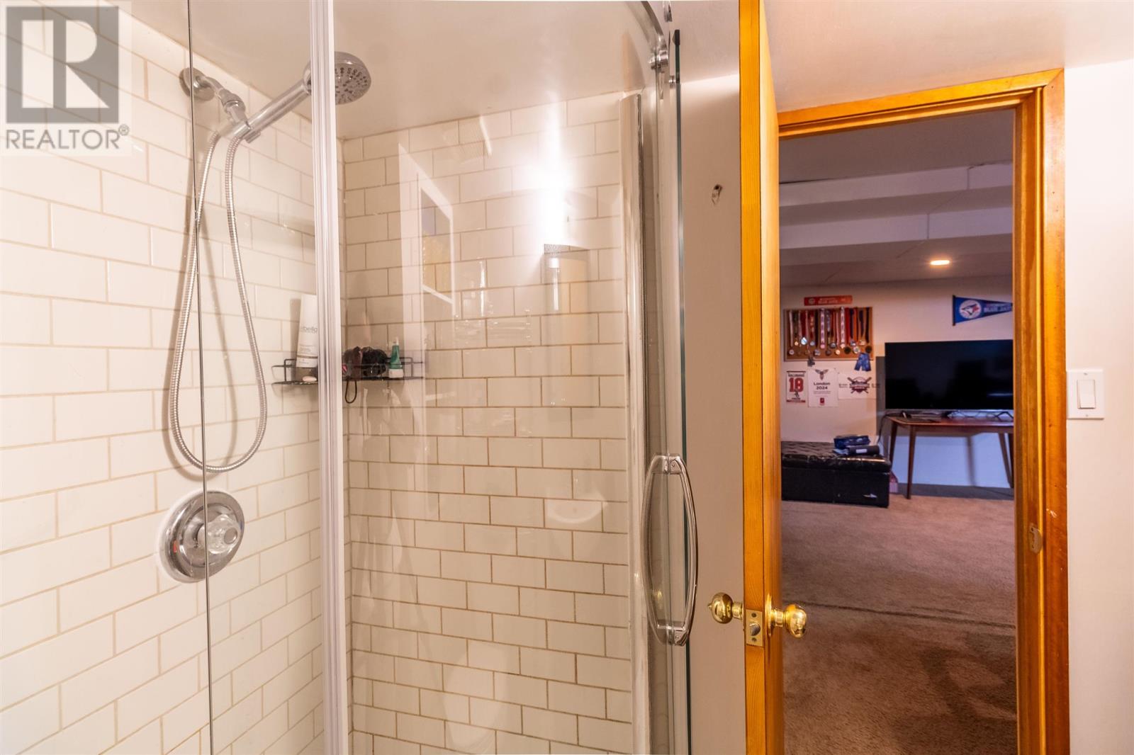 523 Mcnabb St, Sault Ste. Marie, Ontario  P6B 1Z5 - Photo 26 - SM260768