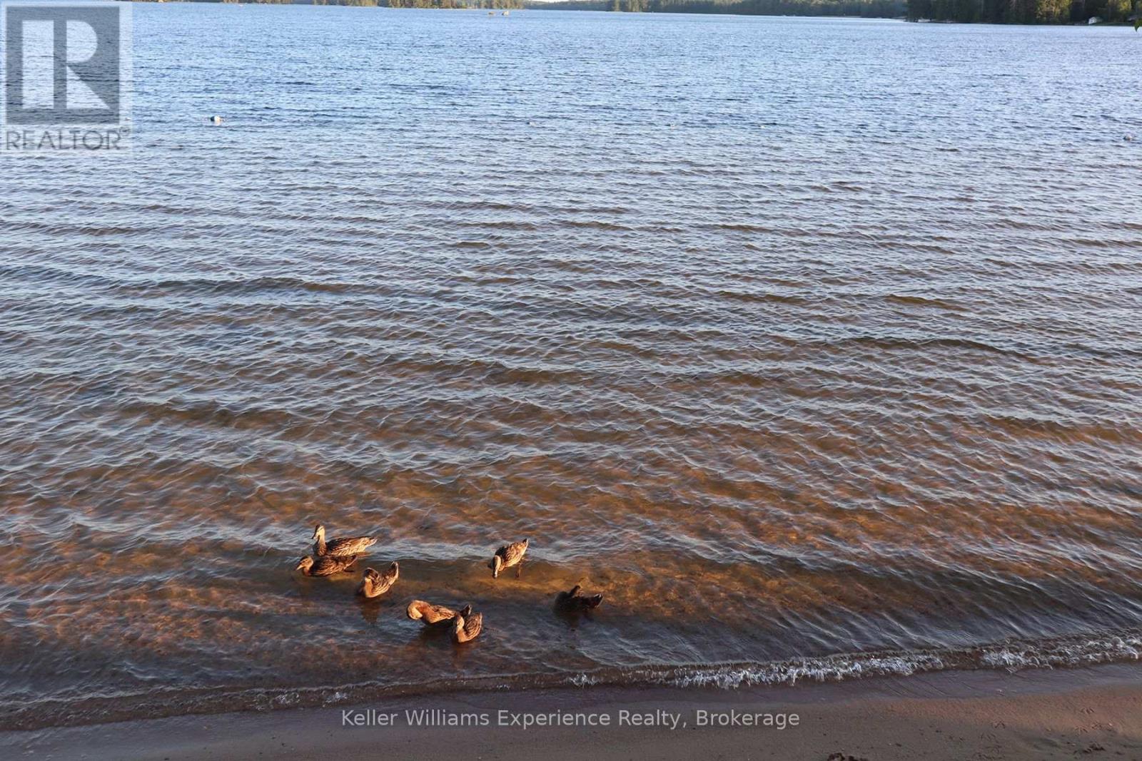 76 Machar River Road, Machar, Ontario  P0A 1X0 - Photo 22 - X13041354