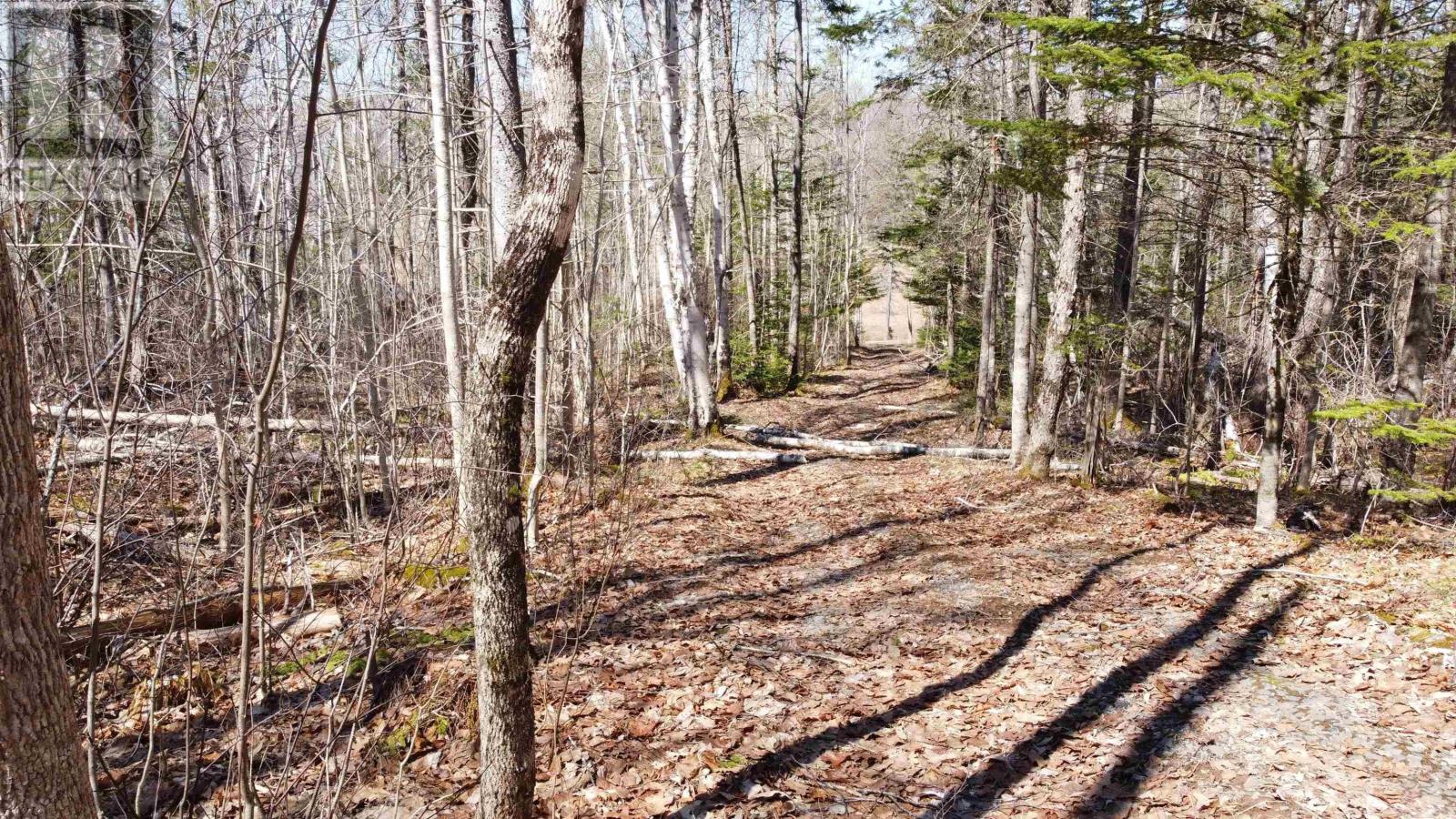 21 Lot Riverview Drive, Brooklyn, Nova Scotia  B0N 2A0 - Photo 4 - 202608127