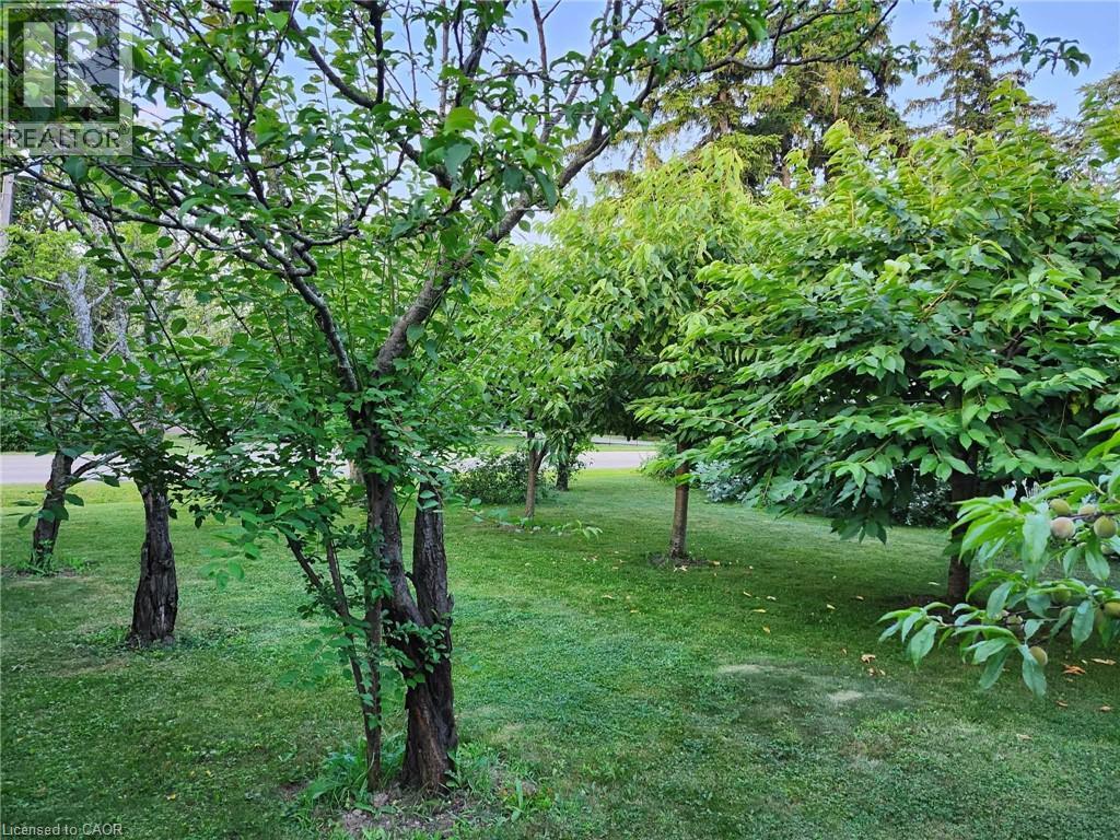 1549 Guyatt Road, Binbrook, Ontario  L0R 1C0 - Photo 37 - 40823692