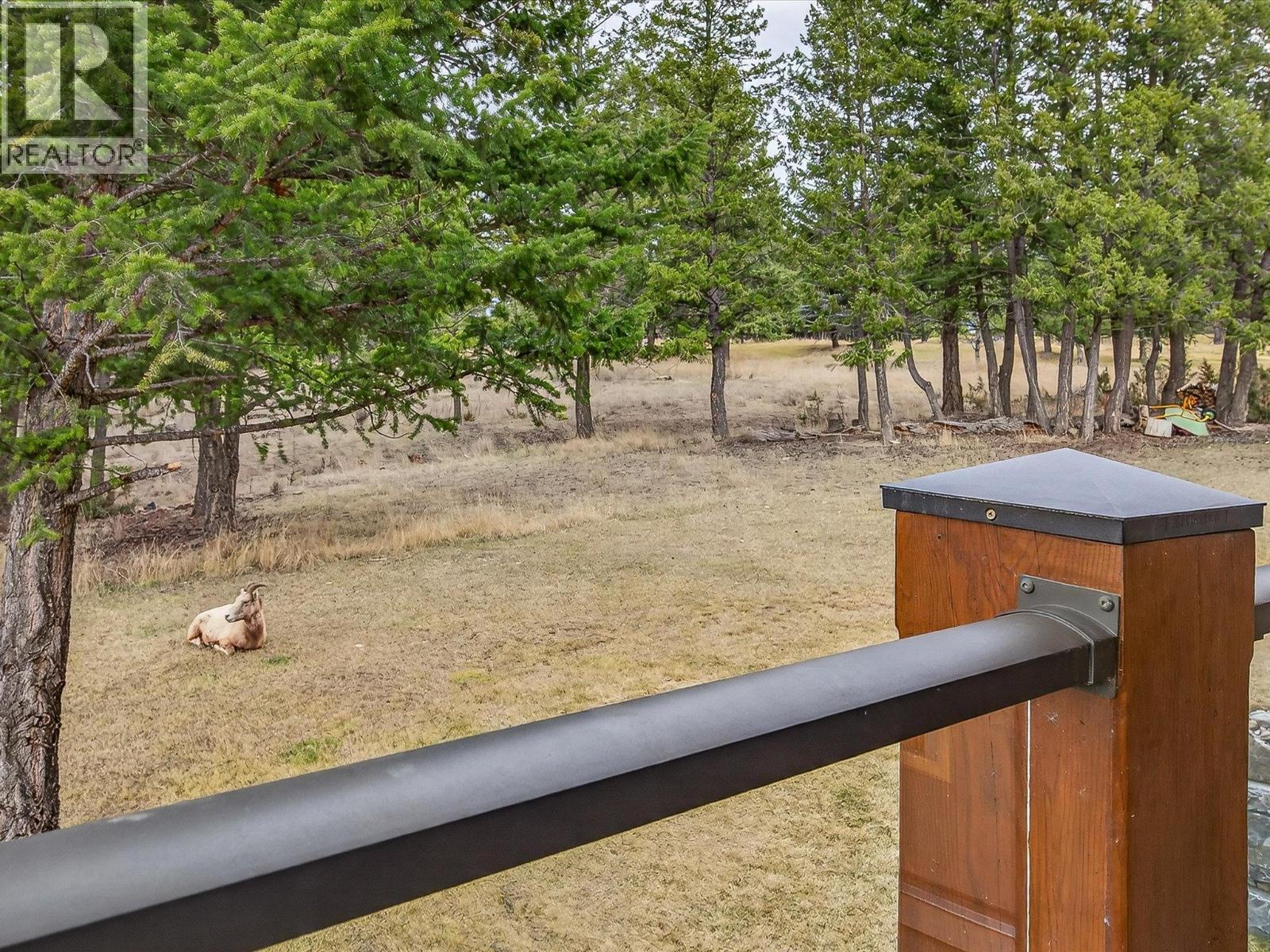 7540 Springs Terrace, Radium Hot Springs, British Columbia  V0A 1M0 - Photo 60 - 10382156