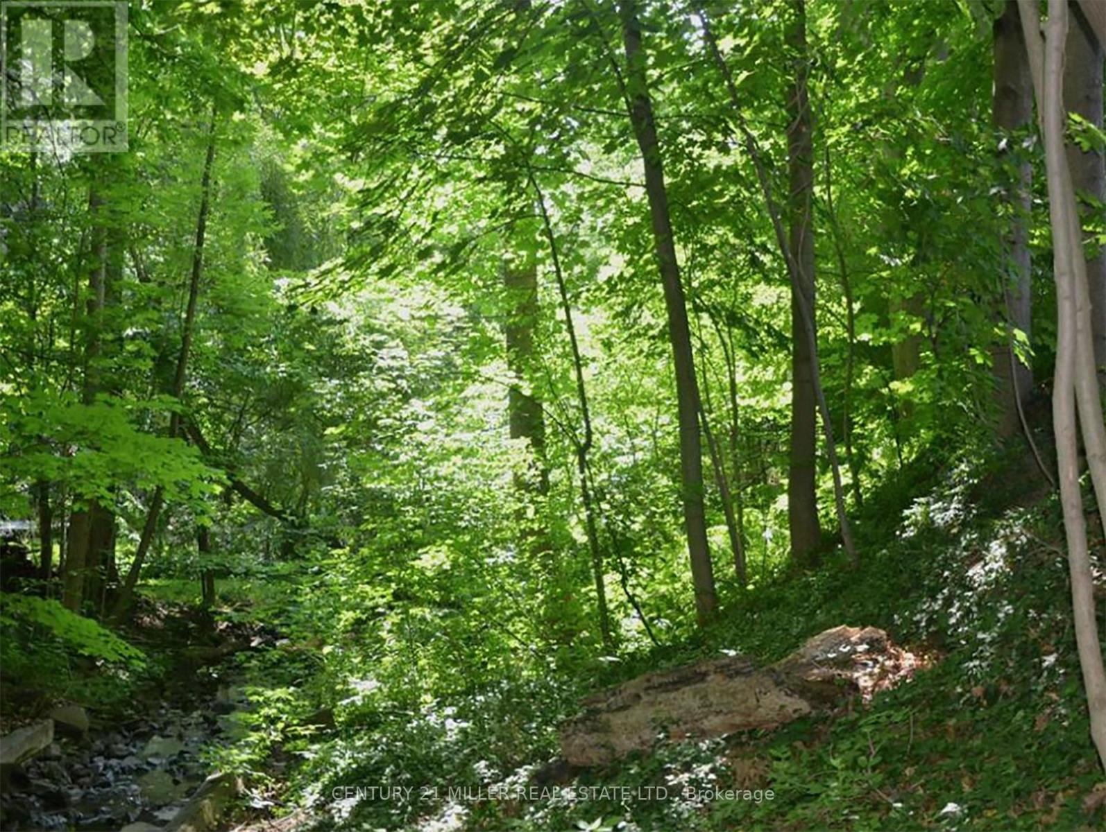 463 Avon Crescent, Oakville, Ontario  L6J 2T2 - Photo 23 - W13041454