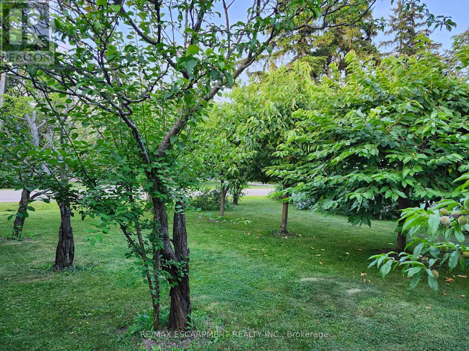 1549 Guyatt Road, Hamilton, Ontario  L0R 1C0 - Photo 39 - X13037306