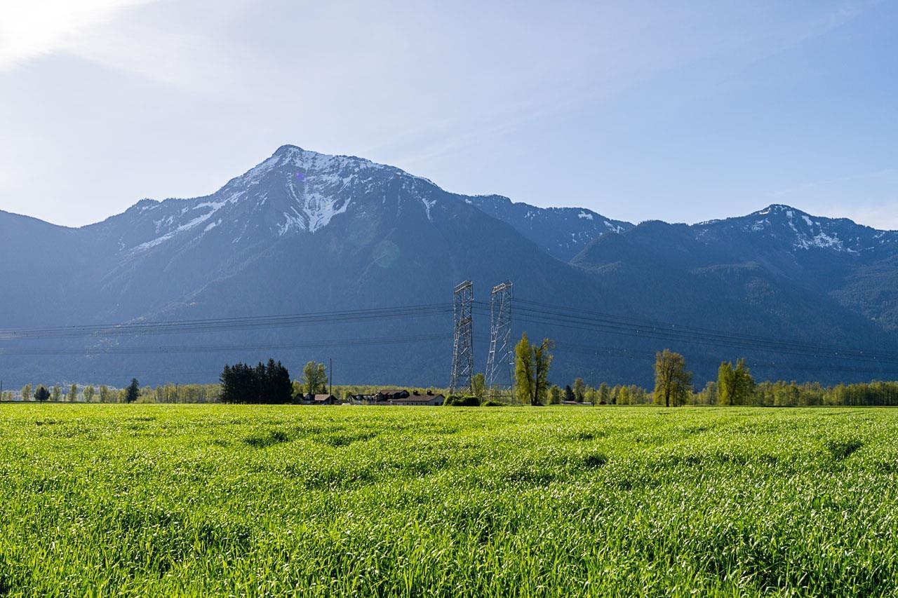 7312 Martin Road, Agassiz, Agassiz, British Columbia  V0M 1A2 - Photo 35 - R3115171