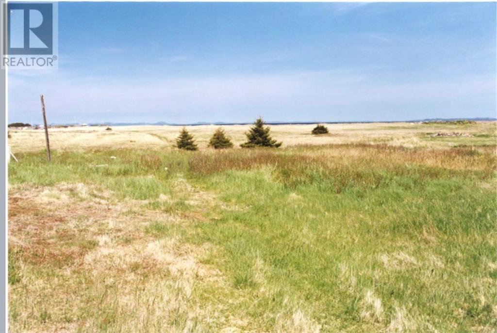 30 Main Street, Frenchman's Cove, Newfoundland & Labrador  A0E 1R0 - Photo 3 - 1296559