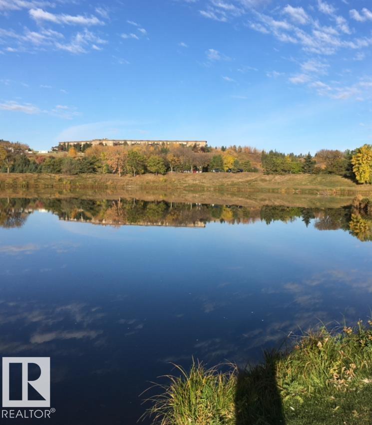 #415 530 Hooke Rd Nw, Edmonton, Alberta  T5A 5J5 - Photo 59 - E4484045