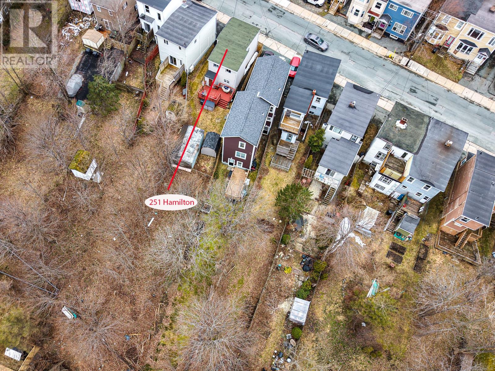 251 Hamilton Avenue, St. John's, Newfoundland & Labrador  A1E 1J6 - Photo 4 - 1296563