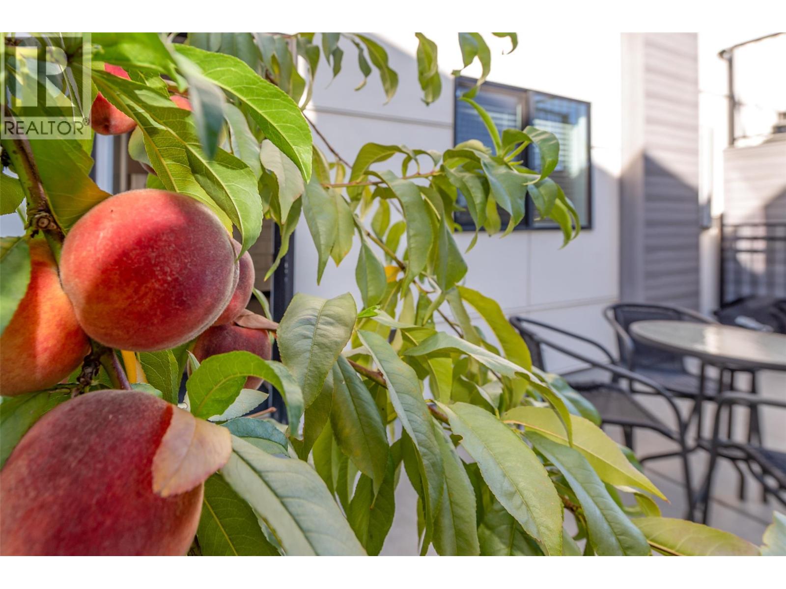 1475 Benzer Court, Kelowna, British Columbia  V1V 2Y1 - Photo 79 - 10384119