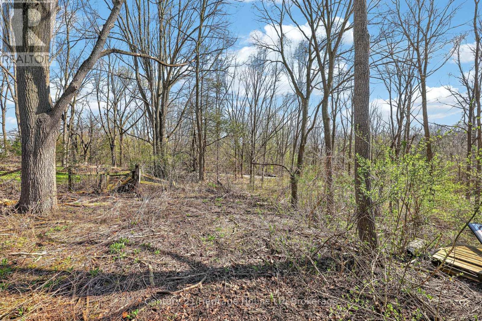 157 Ann Street, Ingersoll, Ontario  N5C 2G5 - Photo 45 - X13041724