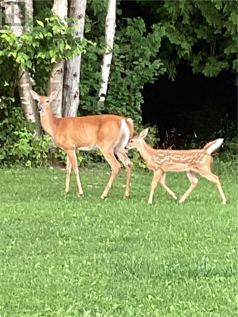 162 15th Sideroad E, Tehkummah, Ontario  P0P 2C0 - Photo 24 - 2126200