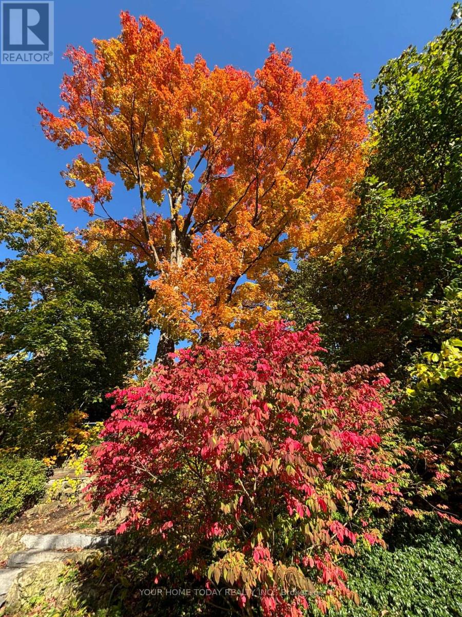 36 Queen Street, Halton Hills, Ontario  L7G 2E6 - Photo 32 - W13041692