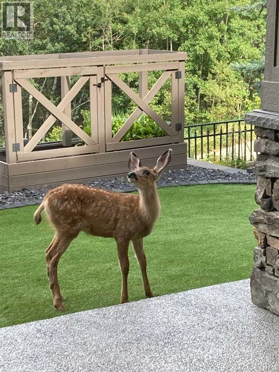 2626 Evercreek Bluffs Way SW, Calgary, Alberta  T2Y 4V7 - Photo 42 - A2304357