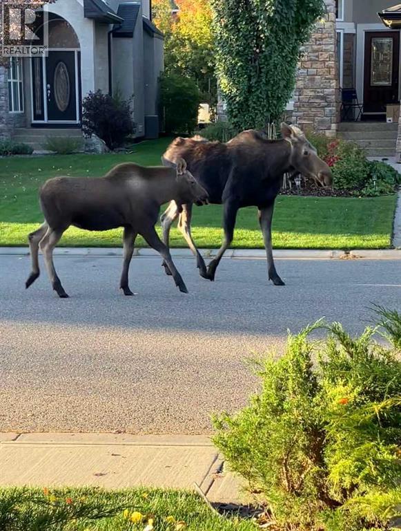 2626 Evercreek Bluffs Way SW, Calgary, Alberta  T2Y 4V7 - Photo 43 - A2304357