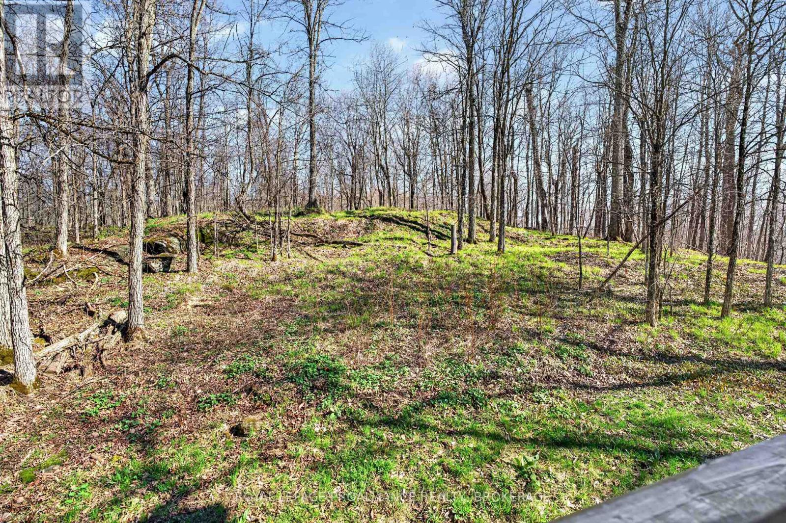 289 Maple Grove Lane, Frontenac, Ontario  K0H 2V0 - Photo 8 - X13042004