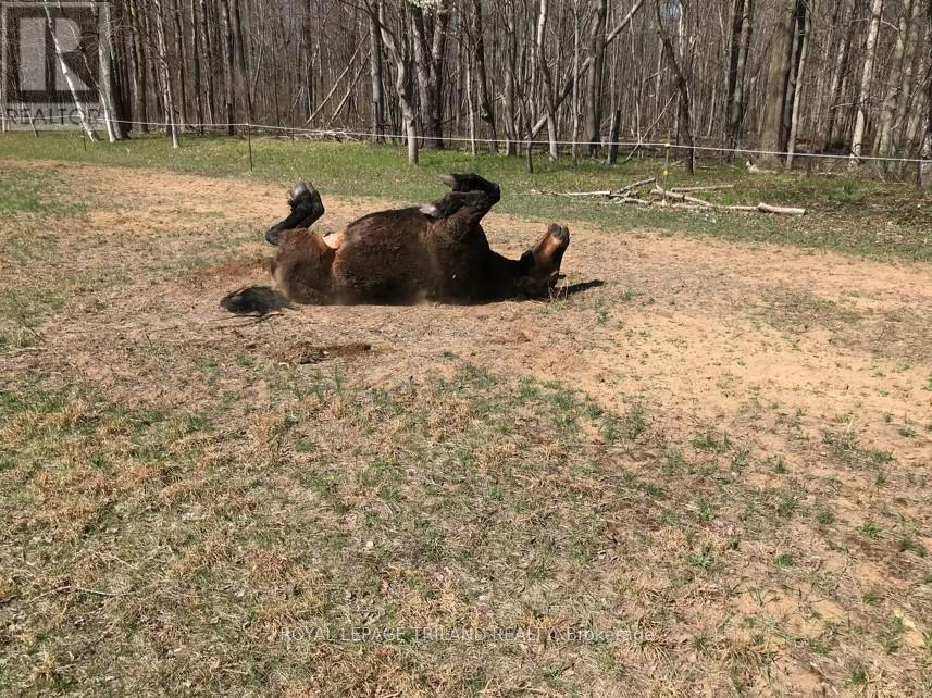 24909 Queens Line, West Elgin, Ontario  N0L 2P0 - Photo 21 - X13041916