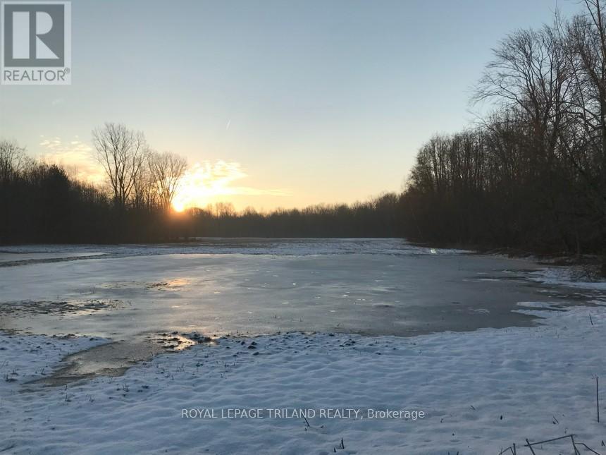 24909 Queens Line, West Elgin, Ontario  N0L 2P0 - Photo 26 - X13041916