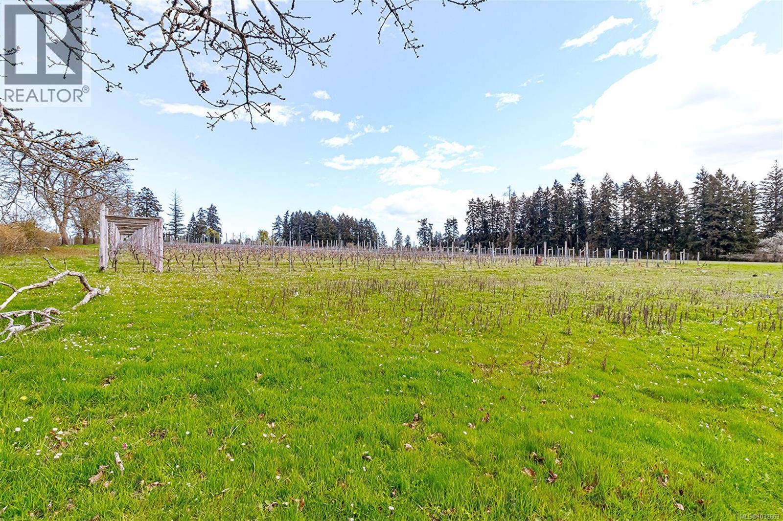 1980 Koksilah Rd, Cowichan Bay, British Columbia  V0R 1N1 - Photo 41 - 1032863