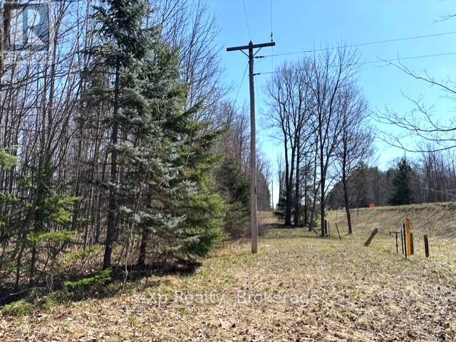 Pt Lt 21 Grey Road 12 Road, West Grey, Ontario  N0G 1R0 - Photo 2 - X13041800