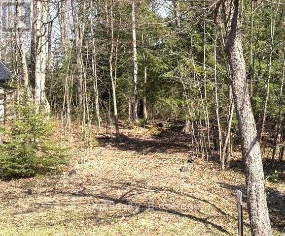 Pt Lt 21 Grey Road 12 Road, West Grey, Ontario  N0G 1R0 - Photo 3 - X13041800