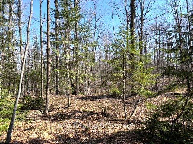 Pt Lt 21 Grey Road 12 Road, West Grey, Ontario  N0G 1R0 - Photo 4 - X13041800