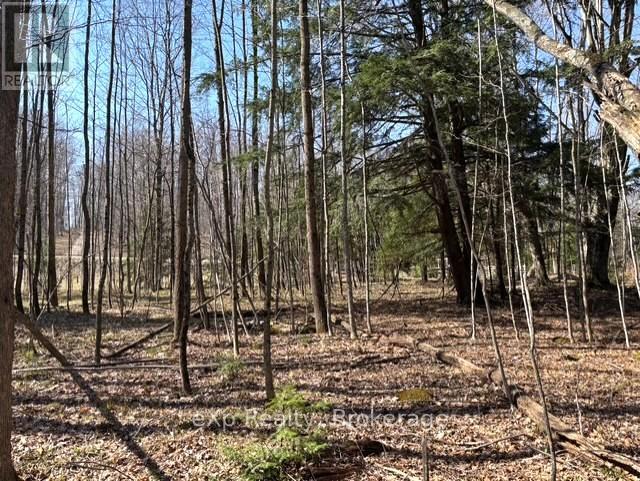 Pt Lt 21 Grey Road 12 Road, West Grey, Ontario  N0G 1R0 - Photo 5 - X13041800