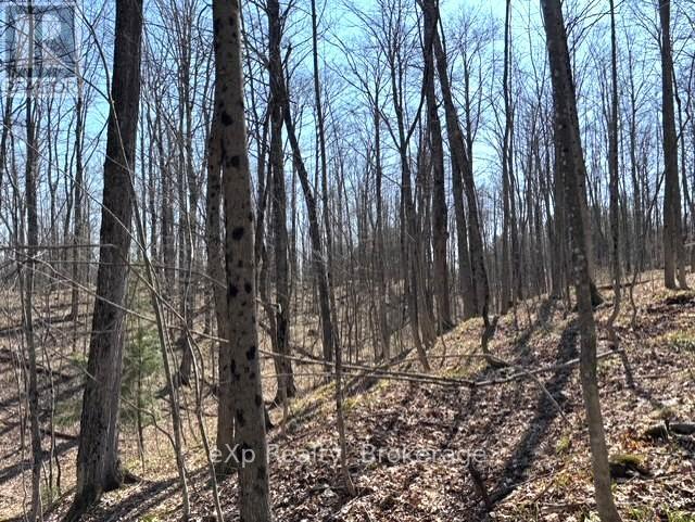 Pt Lt 21 Grey Road 12 Road, West Grey, Ontario  N0G 1R0 - Photo 6 - X13041800