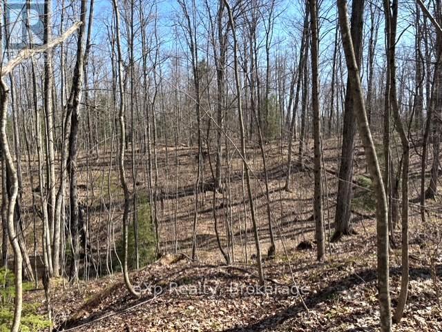 Pt Lt 21 Grey Road 12 Road, West Grey, Ontario  N0G 1R0 - Photo 7 - X13041800